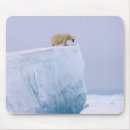 Search for pack mousepads Bear