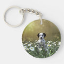 Search for dalmatian key rings Dog