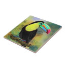 Search for exotic tiles Tropical
