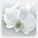 Search for beautiful orchid stickers Botanical