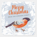 Search for winter birds stickers Bullfinch