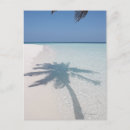 Search for purity postcards Vertical