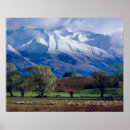 Search for wanaka posters Southern alps