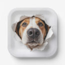 Search for dog paper plates Hound