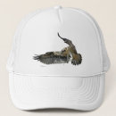Search for prey hats Hawk