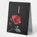 Search for single red rose Modern