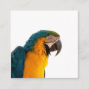 Search for posts business cards Bird