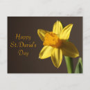 Search for st davids day postcards Wales