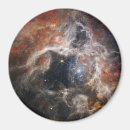 Search for tarantulas magnets Space