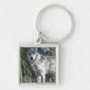 Search for wild one key rings Wildlife