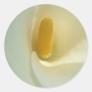 Search for lillies stickers Lilly