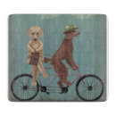 Search for bicycle cookware Dogs on bicycles