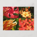 Search for heat postcards Photography