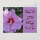 Search for appreciation photography Pink