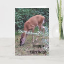 Search for grazing cards Nature