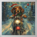 Search for christmas dachshund posters Pet