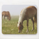 Search for morning mist mousepads Nature