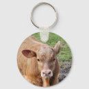 Search for calfs key rings Calves