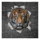 Search for bengal tiger posters Feline