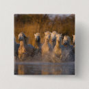 Search for provence badges River