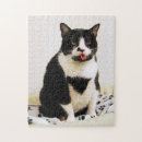 Search for black tuxedo cat puzzles Pet