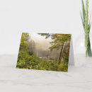 Search for natural wood cards Woodland