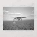 Search for crops postcards Vintage