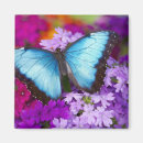 Search for tropical butterfly magnets Wildlife