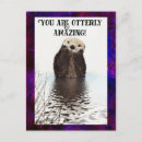 Search for otter postcards Humour