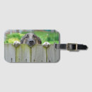 Search for german shepherd accessories Outdoor