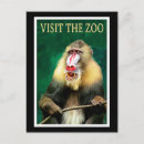 Search for primates postcards Animal