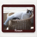 Search for lazy electronics Kitty