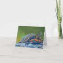 Search for pond turtle cards Green