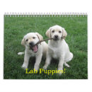 Search for puppy calendars Lab