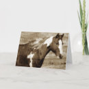 Search for flashy cards Horse
