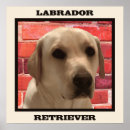 Search for labrador art Yellow