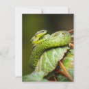 Search for great lakes postcards Nature