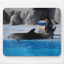 Search for natural history mousepads Animal