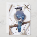 Search for blue bird easter cards Birds