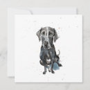 Search for splattered cards Cute
