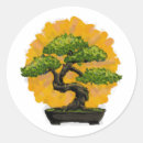 Search for bonsai tree stickers Japan