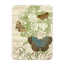 Search for butterfly magnets Nature