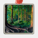 Search for summer christmas tree decorations Landscape