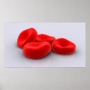 Search for conceptualized Red