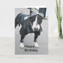 Search for goggle cards Animal