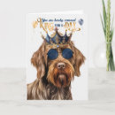 Search for griffon postcards Dogs
