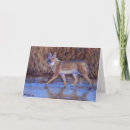 Search for coyotes cards Wildlife