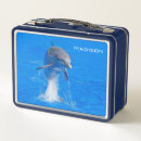 Search for dolphin lunch boxes Animal