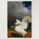 Search for swan puzzles Wings