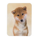 Search for inu magnets Dog